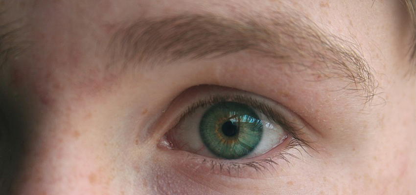 Queimadas e a saúde ocular: quais danos pode causar e qual a melhor forma de se previnir?